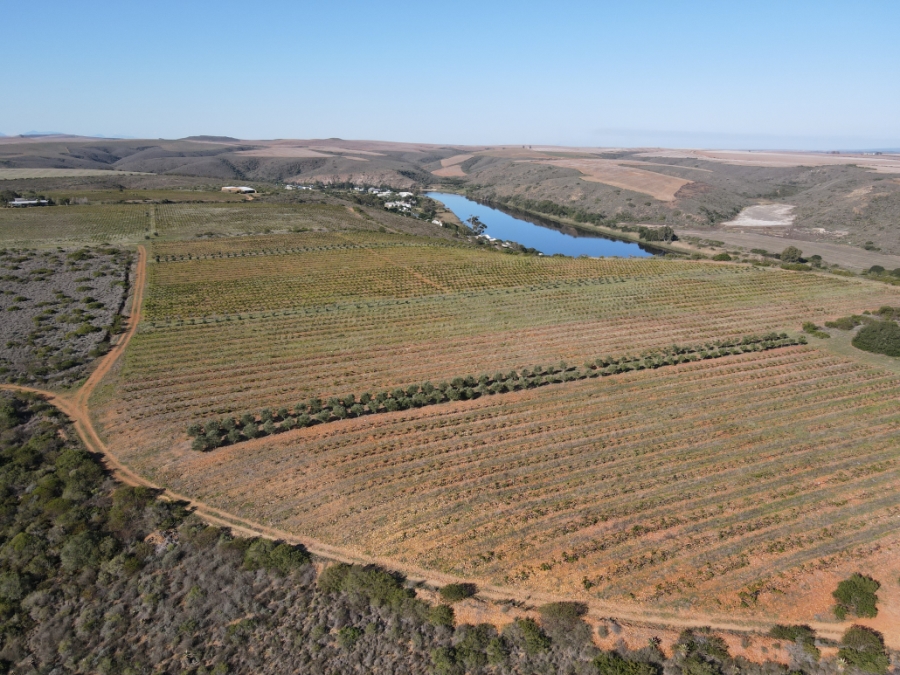 Commercial Property for Sale in Malgas Western Cape